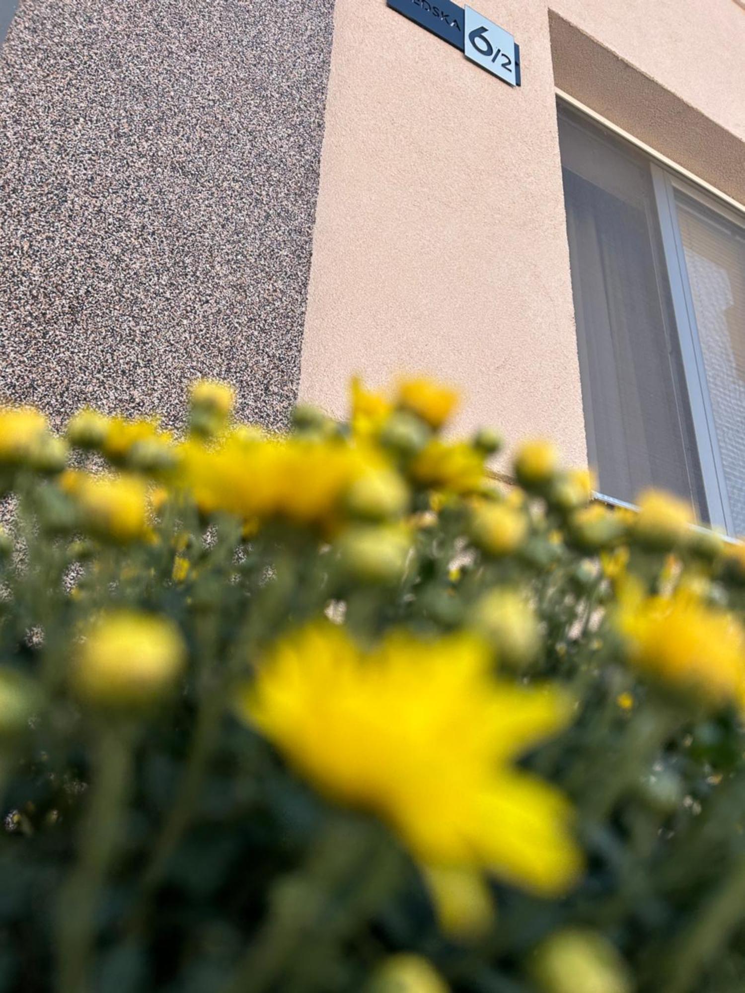 Apartman Tara Subotica Exterior foto